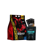 Mass Builder Essentials