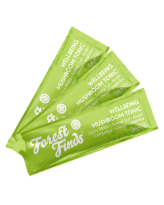 Forest Finds Wellbeing Mushroom Tonic Sample 3 Pack