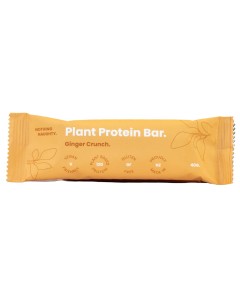 Nothing Naughty Plant Protein Bar (Single)